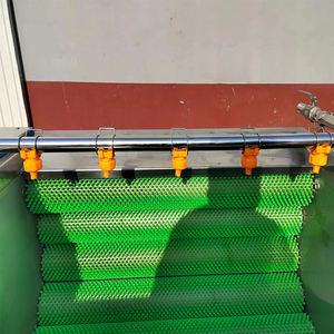 Bürsten walze Typ Obst und Gemüse Meeres früchte Schwein Fuß Lotus Wurzel Rettich Zwiebel Kartoffel Reinigung Schälmaschine - Product Image 4