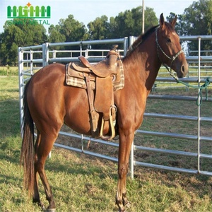 Panel <span class=keywords><strong>de</strong></span> valla <span class=keywords><strong>de</strong></span> caballo <span class=keywords><strong>de</strong></span> Metal galvanizado portátil puestos <span class=keywords><strong>de</strong></span> hierro/acero/Marco <span class=keywords><strong>de</strong></span> hierro fundido acabado galvanizado en caliente modelo <span class=keywords><strong>de</strong></span> bajo <span class=keywords><strong>mantenimiento</strong></span> 3D - Product Image 5
