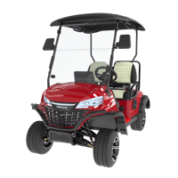 Voiture de club électrique à batterie au lithium de conception professionnelle personnalisée Offre Spéciale Mini voiturette de golf 2 places