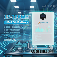 Batería de Energía Solar de Alta Capacidad de 15 kWh, 16 kWh, 20 kWh, 48 V, 51,2 V, LFP Lifepo4, 200 Ah, 300 Ah, para Almacenamiento en el Hogar, Más de 8000 Ciclos
