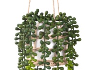 Plante artificielle suspendue en pot en céramique avec guirlande de perles Oh Arts, plantes vertes artificielles de simulation pour la décoration intérieure (vente en gros)