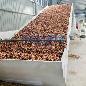 Secador de jengibre a gran escala con cinta transportadora de malla, línea de producción de corte y secado de jengibre, máquina deshidratadora de jengibre - Product Image 3