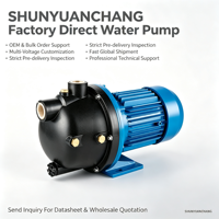 Pompa Jet Booster Motor Listrik Tekanan Tinggi Self-Priming untuk Taman, Bodi Besi Cor, Motor Paduan Aluminium 1 inci OEM
