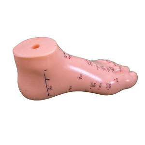 Modelo de cuerpo humano de acupuntura de alta calidad, modelo de pie de acupuntura china de 13cm - Product Image 1