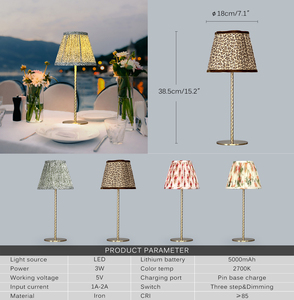 Tùy Chỉnh Hiện Đại Xách Tay Bảng Chụp Đèn 2700K Có Thể Sạc Lại Thay Đổi Độ Sáng Cảm Ứng Ánh Sáng Phòng Ăn Hiện Đại Cho Nhà Hàng LED Sắt - Product Image 6