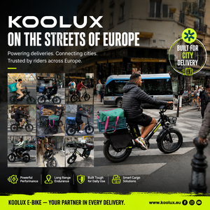 Koolux 250w Lithium Battery Road Bike Long Range X16 48v 20" Aluminum Brushed Motor 150kg Load Capacity X16 Koolux X16 Folding - Product Image 3