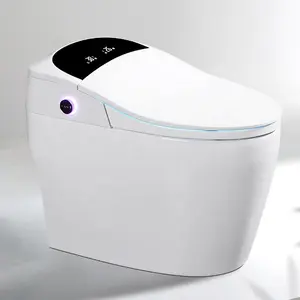 クラシック衛生陶器wcキュービクルインテリジェント電子ボウルトイレ