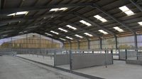 Structure en acier moderne à faible coût pour ferme de bovins laitiers, enclos d'élevage de veaux, hangar à volaille pour une vache d'élevage de veaux efficace