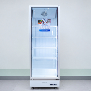 Réfrigérateur commercial à porte vitrée en plastique, grande capacité, pour la conservation et la présentation de bières, avec étagère - Product Image 1