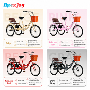 Tricycle de loisirs parent-enfant ApexJoy 20 pouces, vélo à 3 roues pour location en station balnéaire, vente en gros B2B, <span class=keywords><strong>prix</strong></span> spécial revendeur, offre à profit maximal - Product Image 6