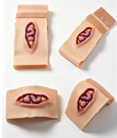 Cinta de simulación de incisión quirúrgica portátil de material PET para modelo de maniquí de enseñanza médica TL-008 de Tianlian