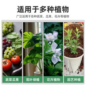 Ajustador de pH del Suelo con Ácido Cítrico Cpai 500g para Plantas que Aman la Acidez, Suplemento de Hierro - Product Image 5