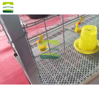 GREAT FARM Vente flash Cage à poulets de chair à 3 niveaux de type H, matériau galvanisé à froid, facile à nettoyer, cage à poulets de chair empilable, logement pour poulets de chair