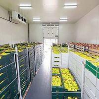 Chambre froide de grande capacité avec panneaux sandwich PU de 120 mm et fonctionnement silencieux pour les usines de préparation alimentaire