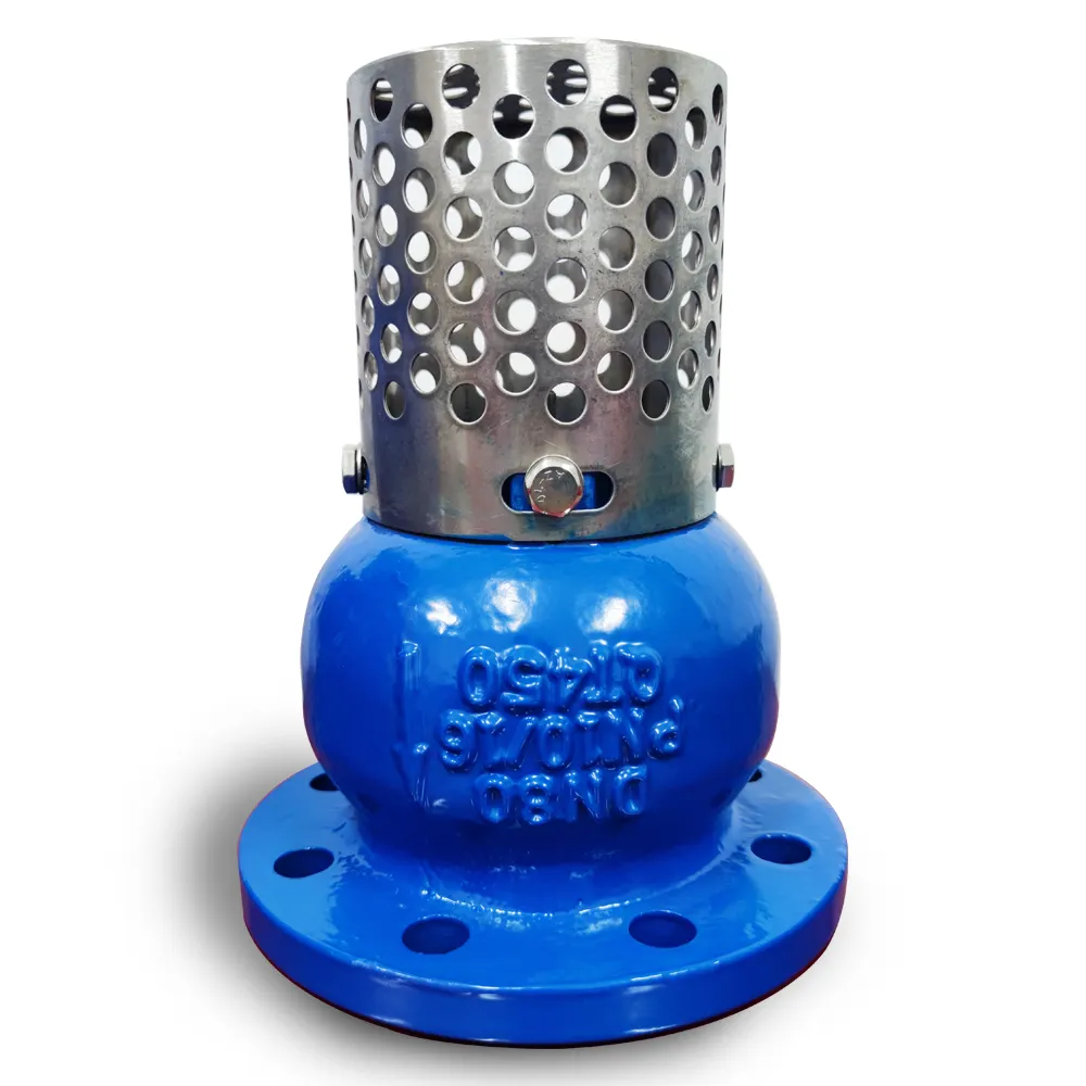 4'' 6'' DN100 DN150 Strainer cast iron body stainless steel disc DIN blue Foot Valve