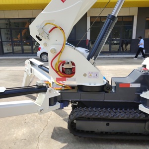 Rst L012 Ce Epa Euro 5 Điện Spider <span class=keywords><strong>Crane</strong></span> Xách Tay Nâng Cần Cẩu Máy Xây Dựng 3 Tấn Crawler 2T 3 T 5T 8T Mini Spider <span class=keywords><strong>Crane</strong></span> - Product Image 2