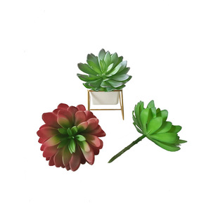 Suculentas Artificiales Realistas para Floristas, Echeveria y Flores de Plástico Duradero, Elevan Ramos y Centros de Mesa - Product Image 5
