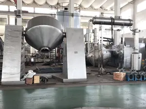 Pharmaceutical Double Conical Rotating Tumbling sich entwickelnden Vacuum Mixer Dryer