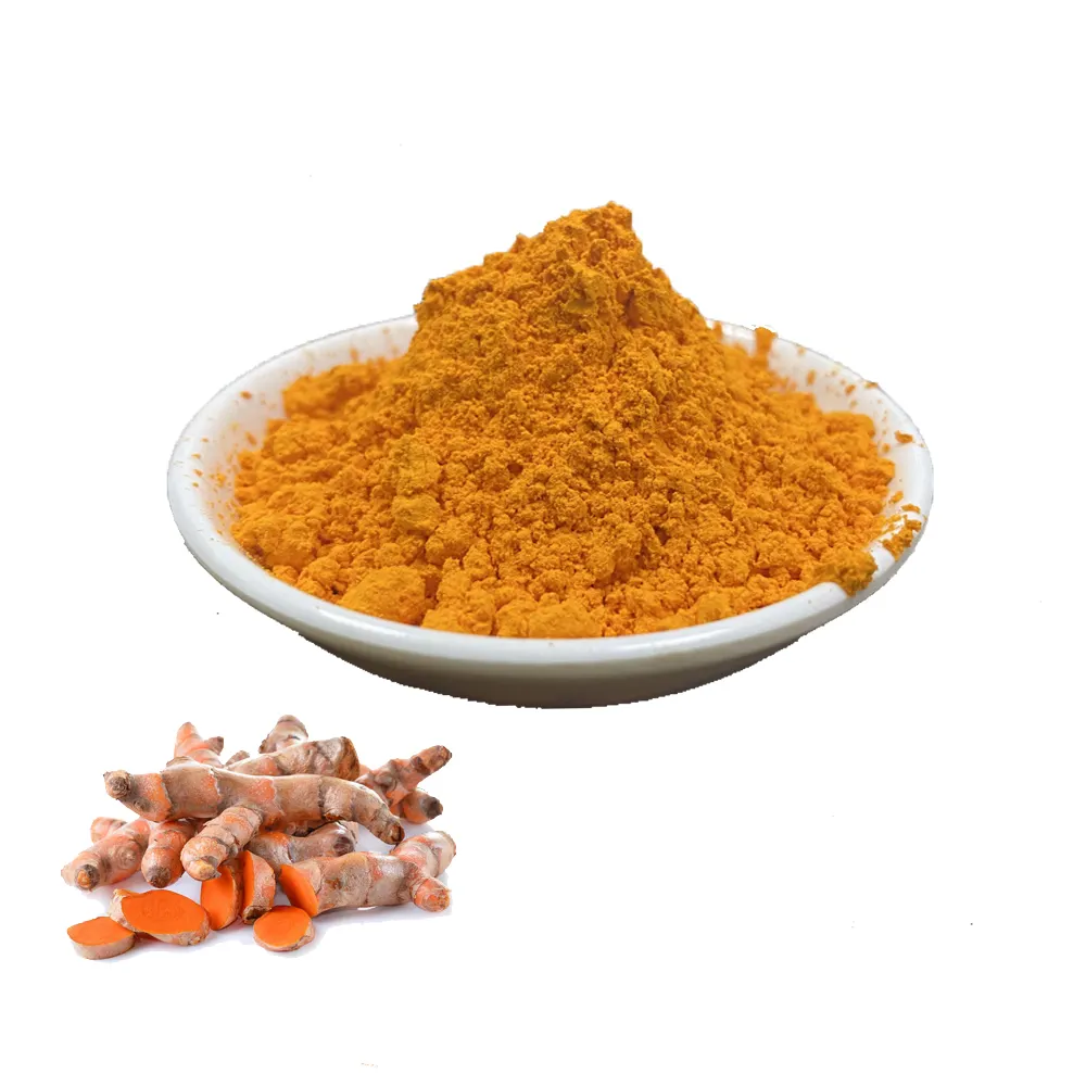 Best Price and Pure Natural Nano Turmeric Powder Curcumin Root Extract Curcumin