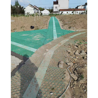 100% vierge HDPE pavés de grille d'herbe en plastique de haute qualité pour allée de stationnement
