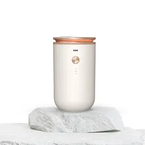 CE Rohs Oil Innovative Simulation Flame Diffuser Multifunction Humidifier Air Oil-based Purifier Air Revitalizer