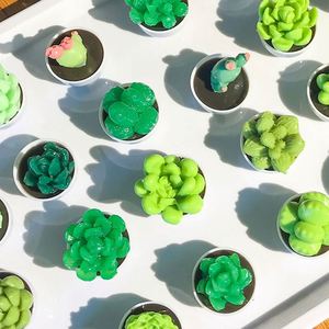 Juguete de Cactus en Miniatura de Resina Colorida, Juguete Antiestrés de Plástico para Aliviar el Estrés, Unisex - Product Image 1