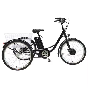 Triciclo de Cuerpo Abierto de 24 Pulgadas para Entrega de Alimentos Familiar con Motor de 250W, Batería de Litio de 36V 13Ah, Neumático Grueso de 20 Pulgadas, Bicicleta Eléctrica en Oferta - Product Image 4