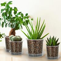 FUIJOL Pot Bunga Transparan 4-7 Inci dengan Lubang Drainase 20 Buah Plastik untuk Penggunaan Dalam/Luar Ruangan (Bibit & Tanaman)