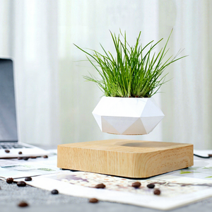 Haut de gamme Commercial créatif artificiel lévitation magnétique bonsaï flottant intérieur maison bureau <span class=keywords><strong>d</strong></span>écoration Air plante Pot - Product Image 1