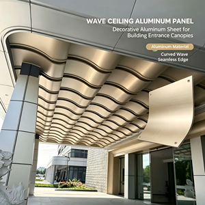 Moderna Cubierta de Entrada de Aluminio, Panel Decorativo para Fachada, Revestimiento para Entrada de Edificio - Product Image 1