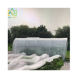 อุโมงค์ <span class=keywords><strong>PE</strong></span> โพลีคาร์บอเนตสำหรับใช้ในสวนหลังบ้านขนาดใหญ่เดินในเรือนกระจก - Product Image 4