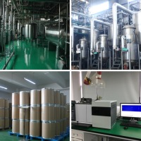 Diosmin 95%-102% HPLC Citrus Aurantium Extract voor ondersteuning van aderen en de circulatie