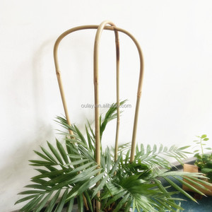 Vườn Hỗ Trợ <span class=keywords><strong>U</strong></span> Tre <span class=keywords><strong>Trellis</strong></span> Vườn Nhà Máy 40Cm, 60M Tre Sân Cổ Cọc <span class=keywords><strong>U</strong></span> Hình Dạng Ngoài Trời Nồi <span class=keywords><strong>Trellis</strong></span> Cho Trồng Leo Núi - Product Image 2