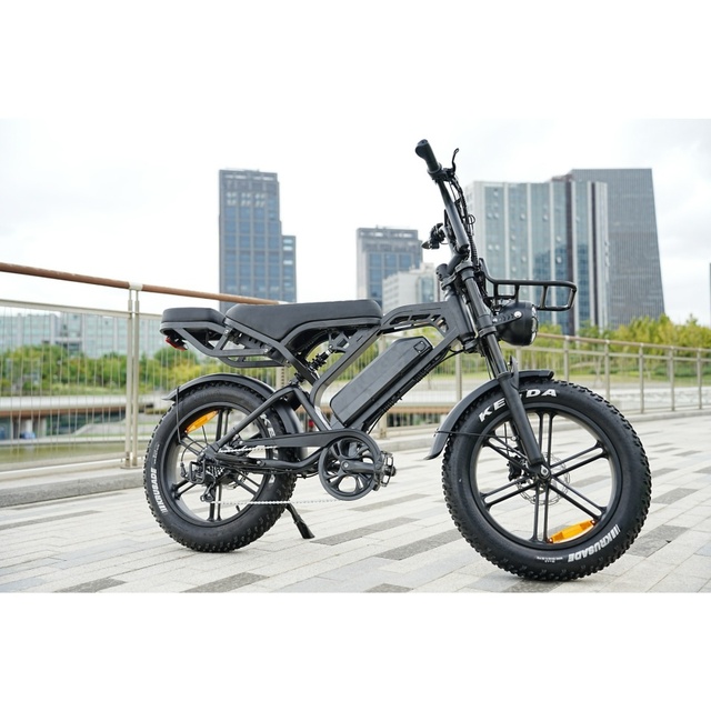Odm/Oem Zerogo Ebike Electric Road Bike Trek V20 Pro Fatbike Electric Fatbike Beach Electric Bikes for Adults