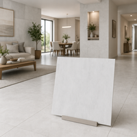 DCT Neues Design Gesinterte Steinplatten Matt/Glänzend Optisch Weiße Wandfliesen Wasserdicht Rutschfest Umweltfreundlich Modern für Innenbereich