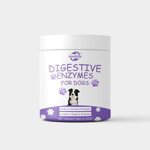 Poudre d'enzymes digestives OEM/ODM très vendue pour chiens, poudre d'enzymes pour la digestion des croquettes et du pancréas, favorise l'absorption des nutriments - Product Image 1