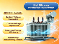 Transformateur immergé dans l'huile à enroulement multiple S22 personnalisé 12,47 kV pour systèmes de distribution industrielle 50 Hz 60 Hz
