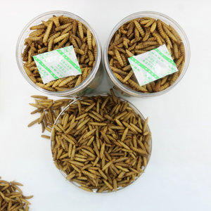 Alimento de larvas de alta proteína, larvas de mosca soldado negra secas, gusanos secos - Product Image 5
