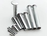 Rivets aveugles blancs zingués DIN 7337 – Usine de rivets à percussion