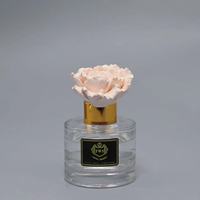 Diffuseur de parfum en verre artisanal écologique en gros, 100 ml, personnalisable pour la maison, le bureau, l'hôtel, la voiture