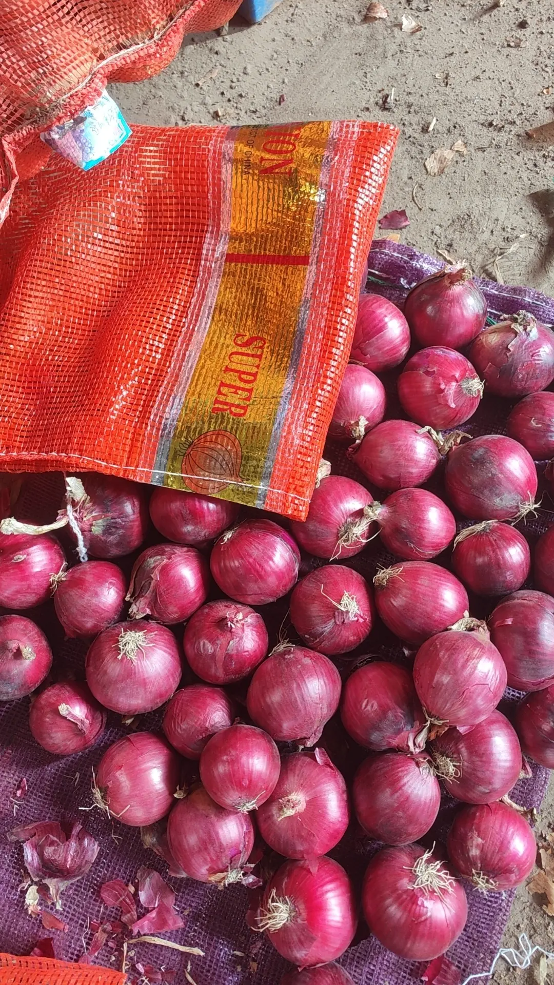 Cipolle fresche rosso scuro cipolla viola rosso fornitura da allevamento di cipolle cinesi