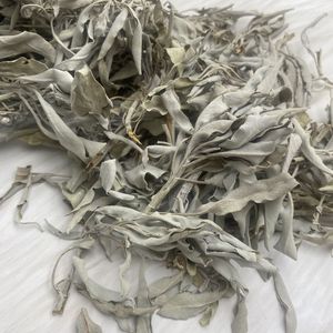 Feuilles <span class=keywords><strong>de</strong></span> <span class=keywords><strong>sauge</strong></span> <span class=keywords><strong>blanche</strong></span> <span class=keywords><strong>de</strong></span> Californie séchées au soleil, herbes médicinales, décoration d'intérieur, 50-500g - Product Image 3