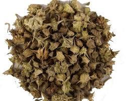 Extracto de hierbas de semilla de Tribulus Terrestris de grado alimenticio más vendido, Extracto de planta artesanal de tambor de fruta Gokhru indio fresco - Product Image 3