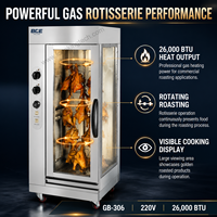 Rôtissoire à poulet commerciale en acier inoxydable, certifiée CE, fabricant chinois, 306 220V GPL et gaz naturel