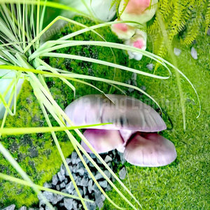 Lampe LED décorative en forme de champignon à double couche gris-brun, en matériau FRP, garantie 1 an, pour extérieur, jardin, parc, aménagement paysager - Product Image 4