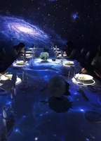 Écran de projection interactif 4K LED immersif 3D holographique pour salle de karaoké, projecteur avec haut-parleur Wi-Fi intégré, publicité portable