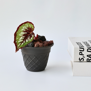 Maceta de Cerámica con Forma de Cono, Esmaltada, de Cerámica Gruesa, Linda, Blanca y Negra, Transpirable, con Orificio de Drenaje, Ecológica para Jardín - Product Image 1