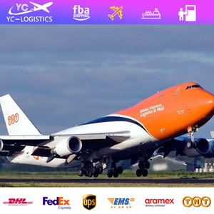 Service professionnel d'expédition porte-à-porte depuis la Chine, les États-Unis, le Canada et l'Australie-UPS DHL FedEx DDU/DDP Express Delivery Professional - Product Image 5