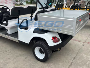 Carrito de Golf Eléctrico Todoterreno, Homologado para Calle, en Oferta, Carrito Turístico, Transporte Especial - Product Image 5