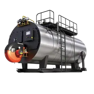 Boiler 600000kcal/h 6MW 5MW CWNS LPG Gas Fuel Condensing Heating Hot Water Boiler